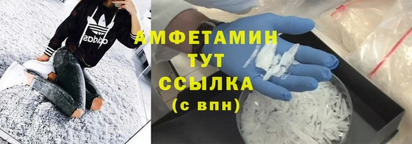 сатива Богданович
