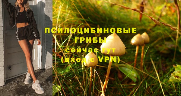 герыч Богородицк