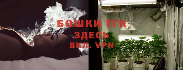 сатива Богданович