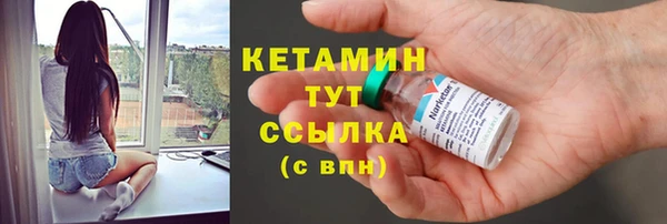 сатива Богданович