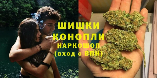 сатива Богданович
