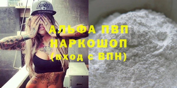 сатива Богданович
