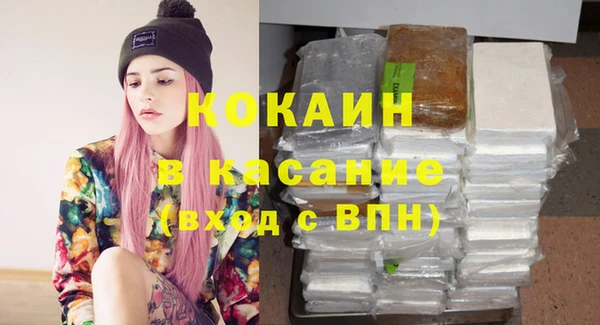 сатива Богданович