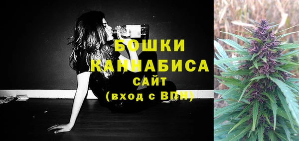 ГАЛЛЮЦИНОГЕННЫЕ ГРИБЫ Богородск